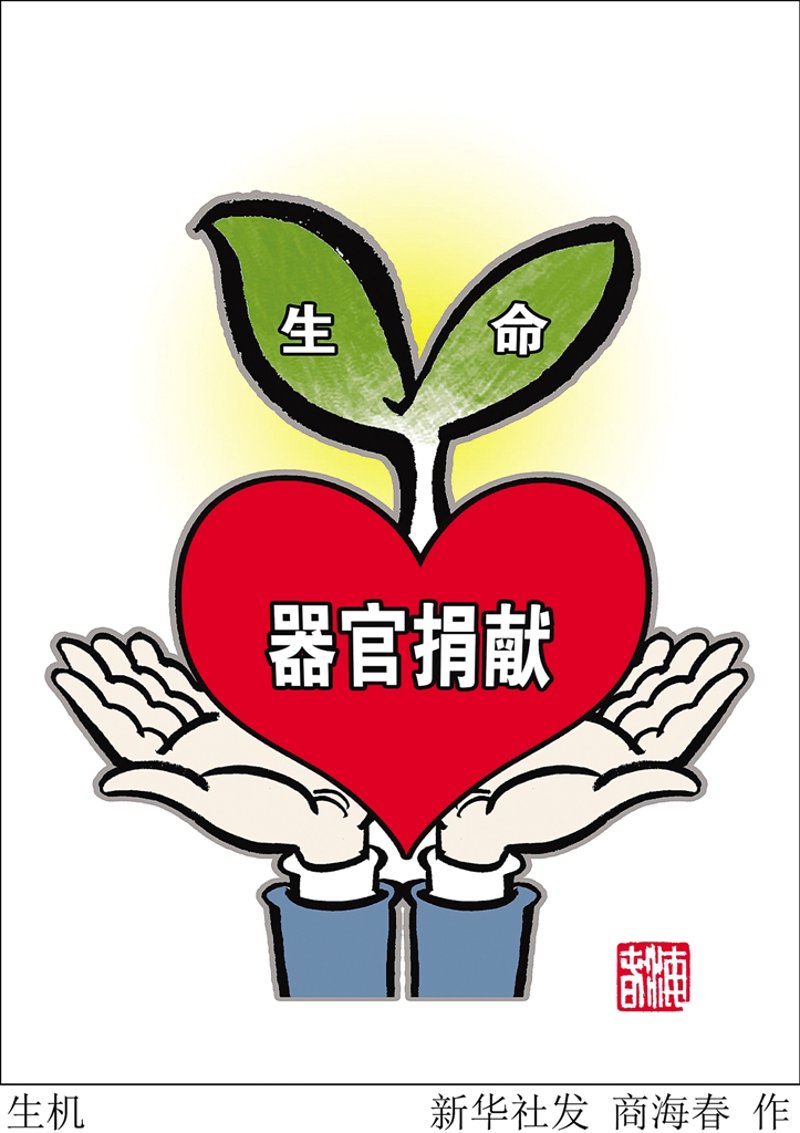 肾移植:生命的重生与希望