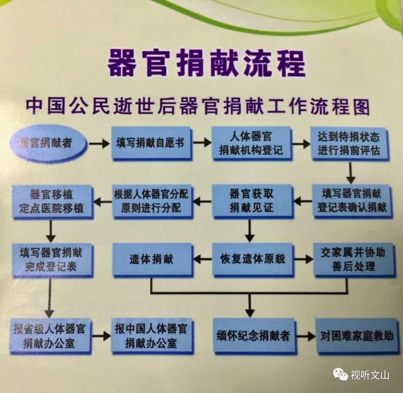 生命之桥：聊聊器官移植救助